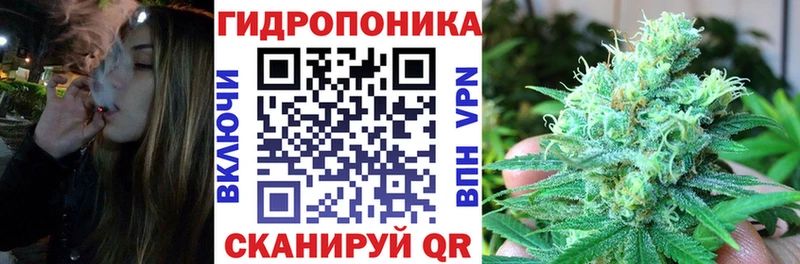 Шишки марихуана марихуана  кракен   Чехов 